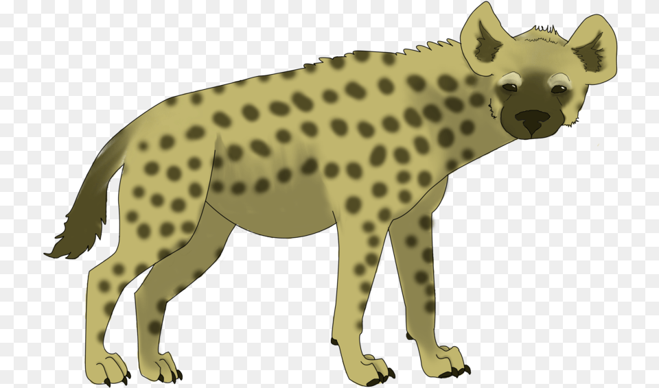 Hyena Clipart Spotted Hyena, Animal, Wildlife, Adult, Male Free Png