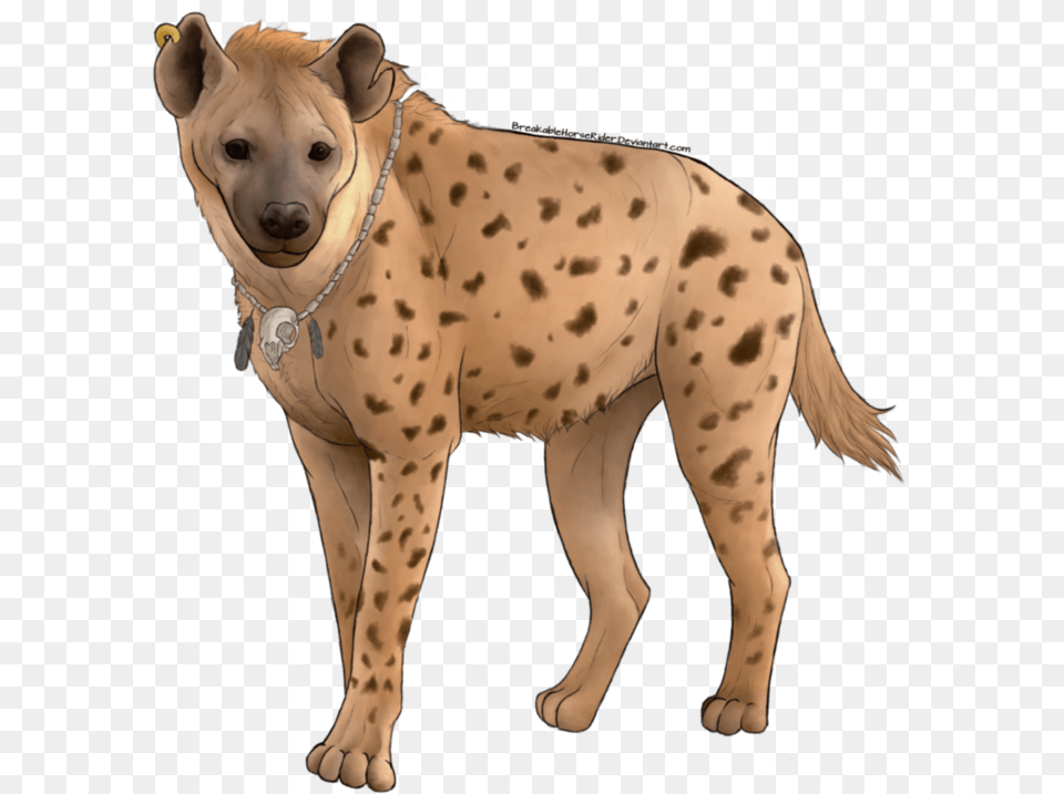Hyena Download With Transparent Background Background Wild Animals, Animal, Canine, Dog, Mammal Png Image