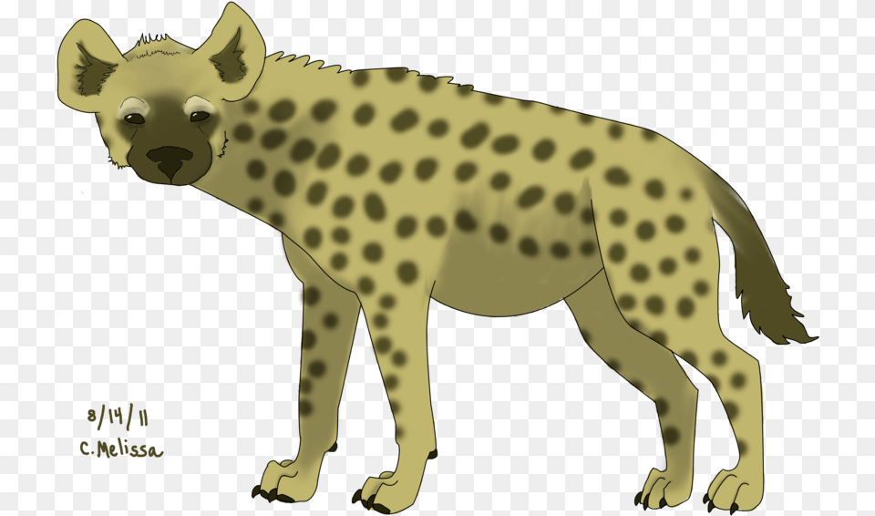 Hyena Hyena, Animal, Wildlife, Bear, Mammal Free Transparent Png