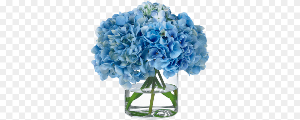 Hygrangea Blue Paper Napkins Blue Hydrangeas, Flower, Flower Arrangement, Flower Bouquet, Geranium Free Transparent Png