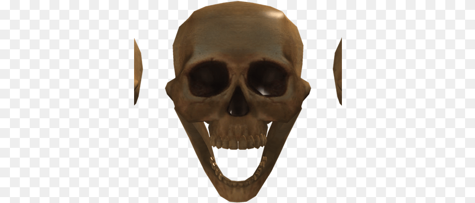 Hylphobia Skulls Wiki, Adult, Male, Man, Person Free Png