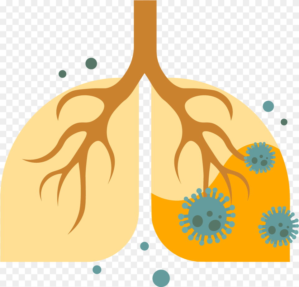 Hypersensitivity Pneumonitis Natural Foods, Leaf, Plant, Root, Pattern Free Transparent Png