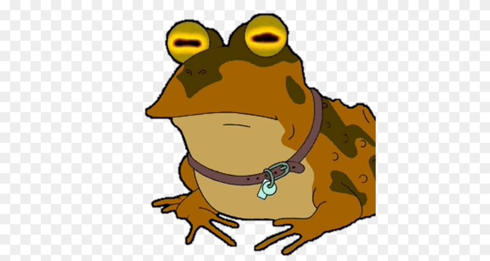 Hypnotoad Live Wallpaper Appstore For Android, Amphibian, Animal, Frog, Wildlife Free Png Download