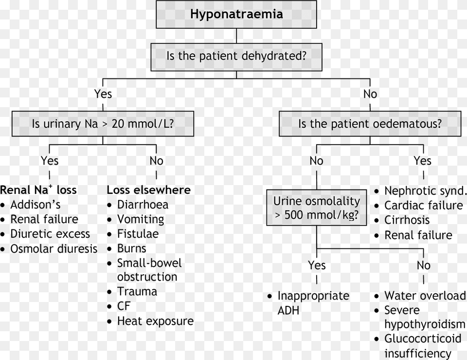 Hyponatraemia Causes, Text Free Png Download