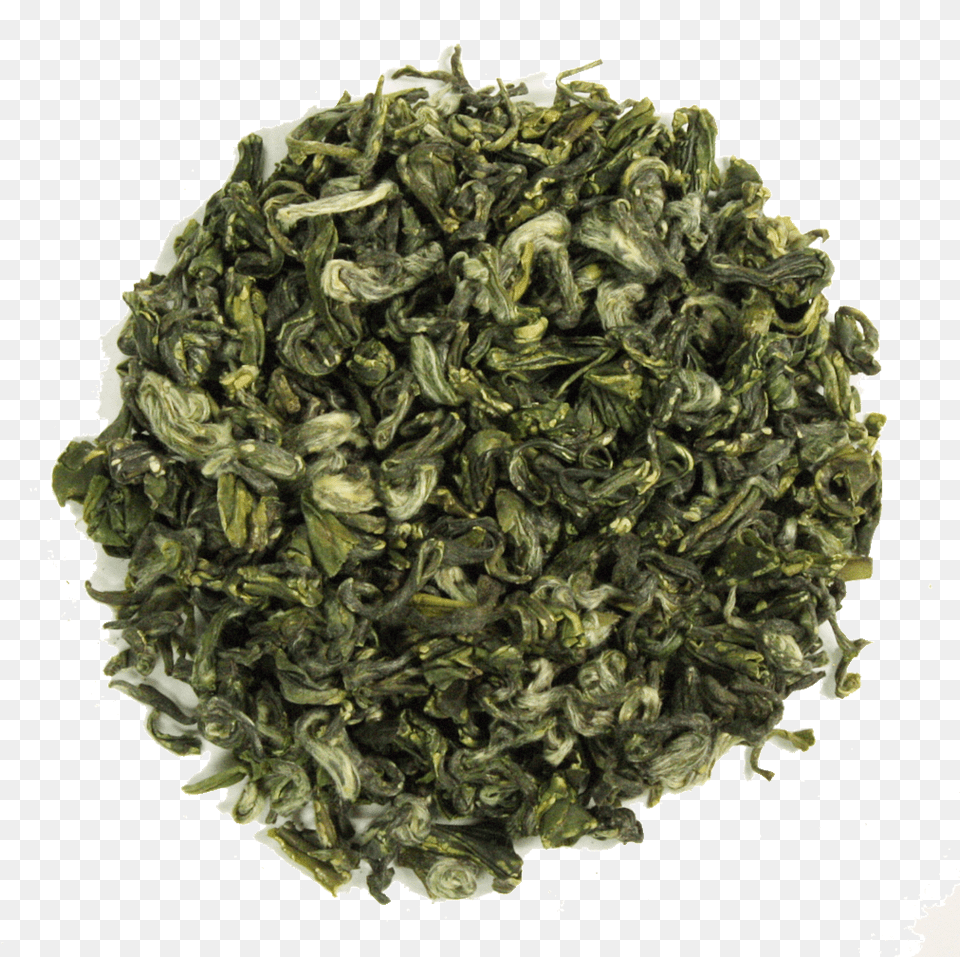 Hyson, Herbal, Herbs, Plant Png Image
