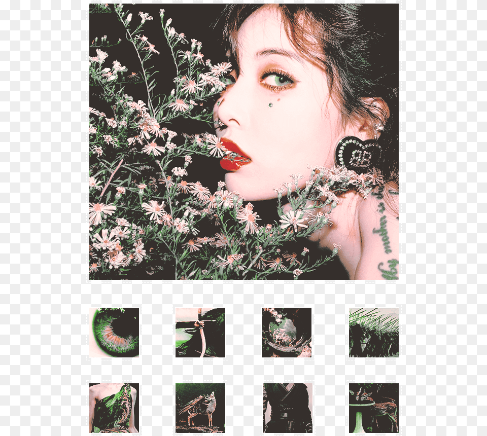 Hyuna Flower Shower, Art, Collage, Adult, Person Png