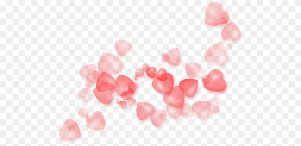 I, Flower, Petal, Plant Free Png Download