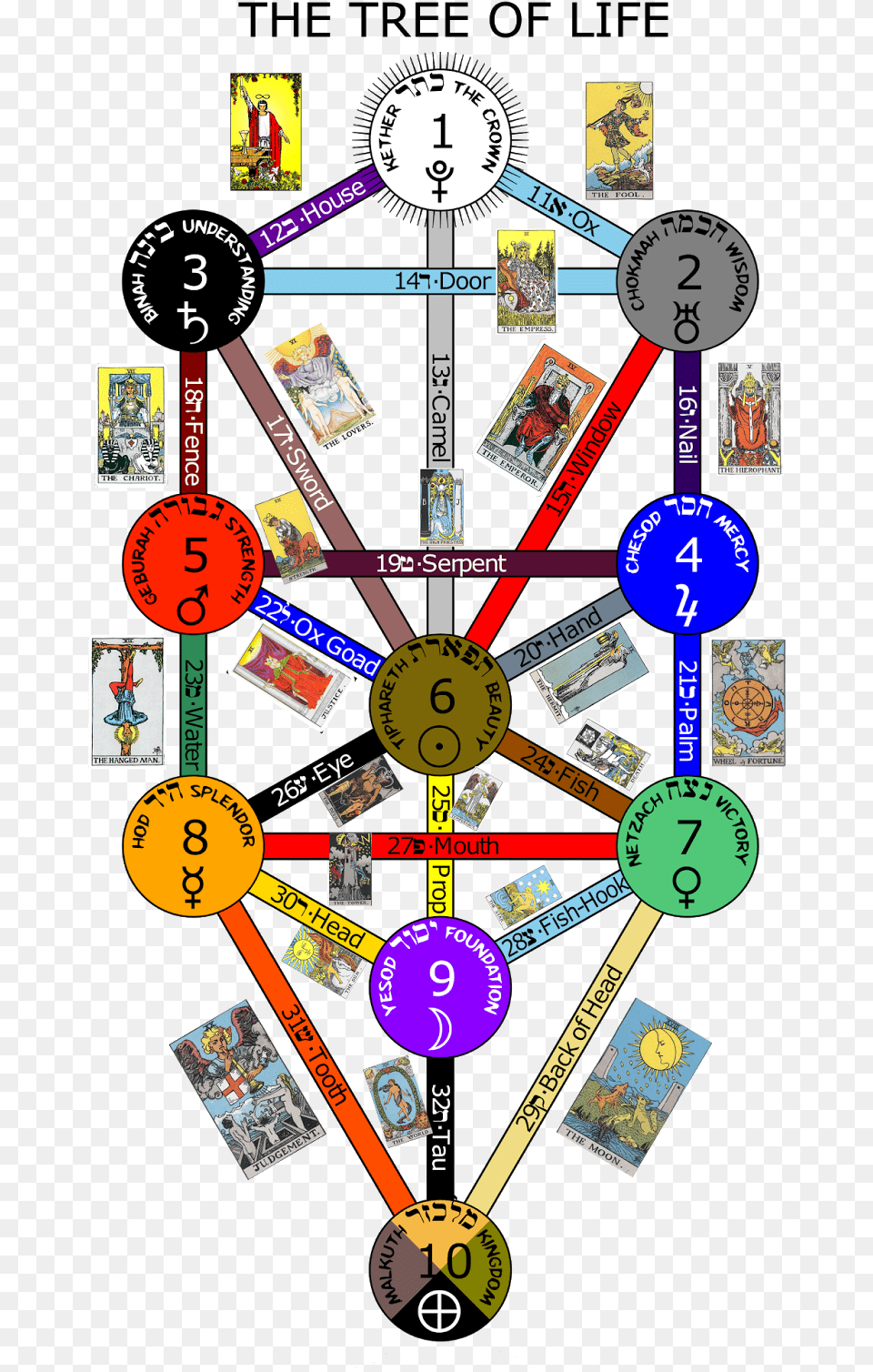 I Am A Fool Tom Iu0027ve No Doubt About That Tarot Cards Kabbalah Tree Of Life Poster, Person, Book, Publication Png Image