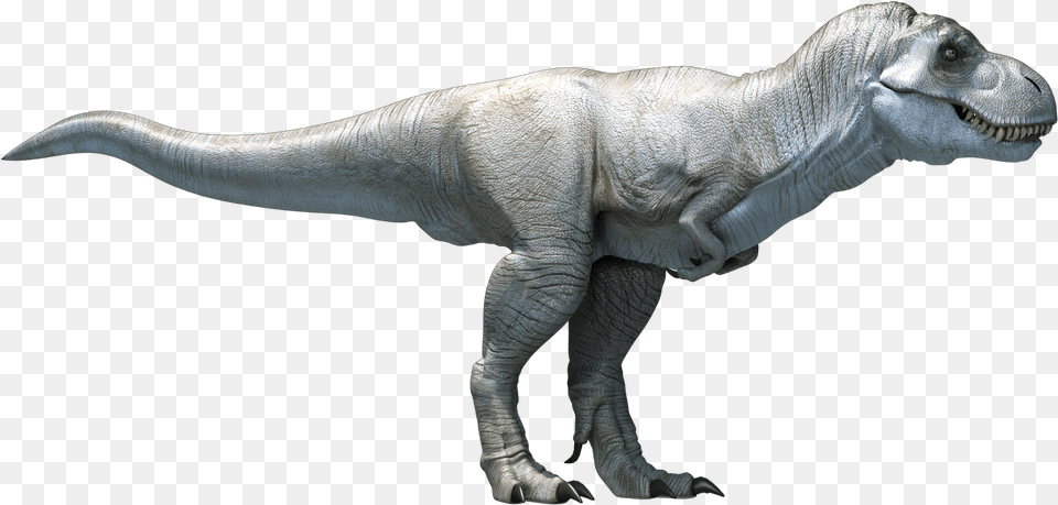 I Am Also A Self Trained 3d Artist I Started Out Around Dinosaur, Animal, Reptile, T-rex Free Transparent Png