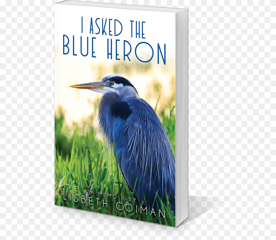 I Asked The Blue Heron A Memoir, Book, Publication, Animal, Bird Free Transparent Png