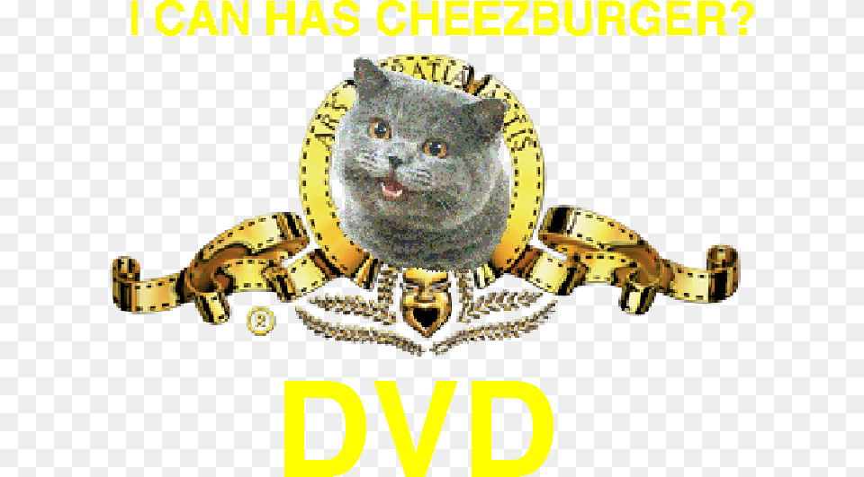 I Can Has Cheezburger Dvd Logo Leo The Lion Logo, Accessories, Animal, Cat, Mammal Free Png Download