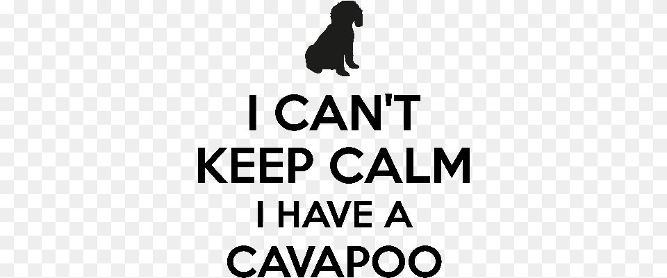 I Cant Keep Calm I Have A Cavapoo Silhouette, Person, Head Png