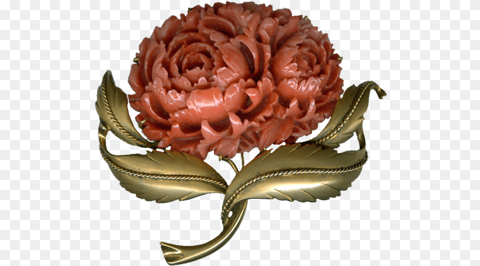 I Digitized This Great Antique Coral And Brass Brooch Flower Brooch, Accessories, Jewelry, Plant, Rose Png Image