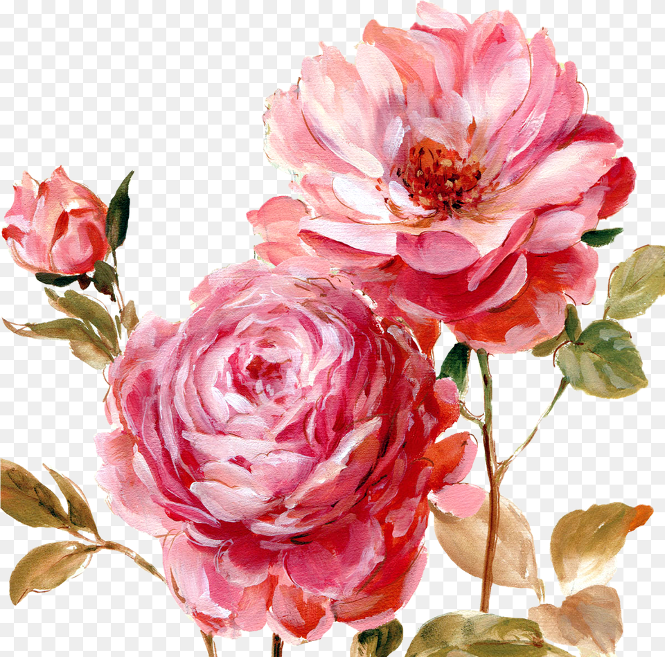 I Ekler Painted Flowers Transparent, Flower, Petal, Plant, Rose Free Png Download