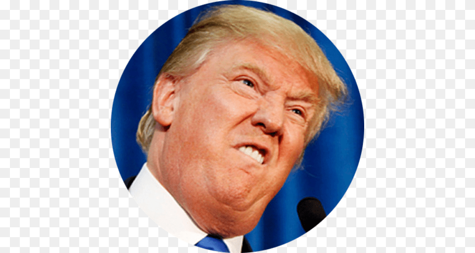 I Farted And It Reminded Me Of Donald Trump Quinto Rodriguez, Male, Adult, Portrait, Face Free Transparent Png