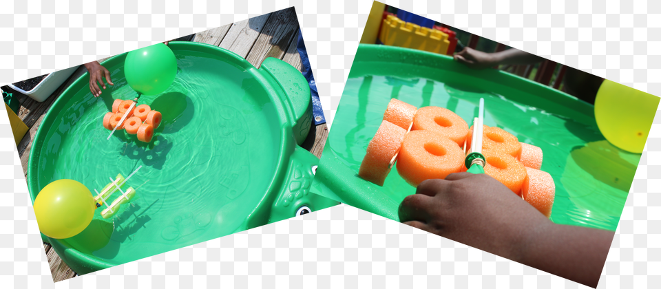 I Filled Up A Big Shallow Tub Of Water And Let The Play Png Image