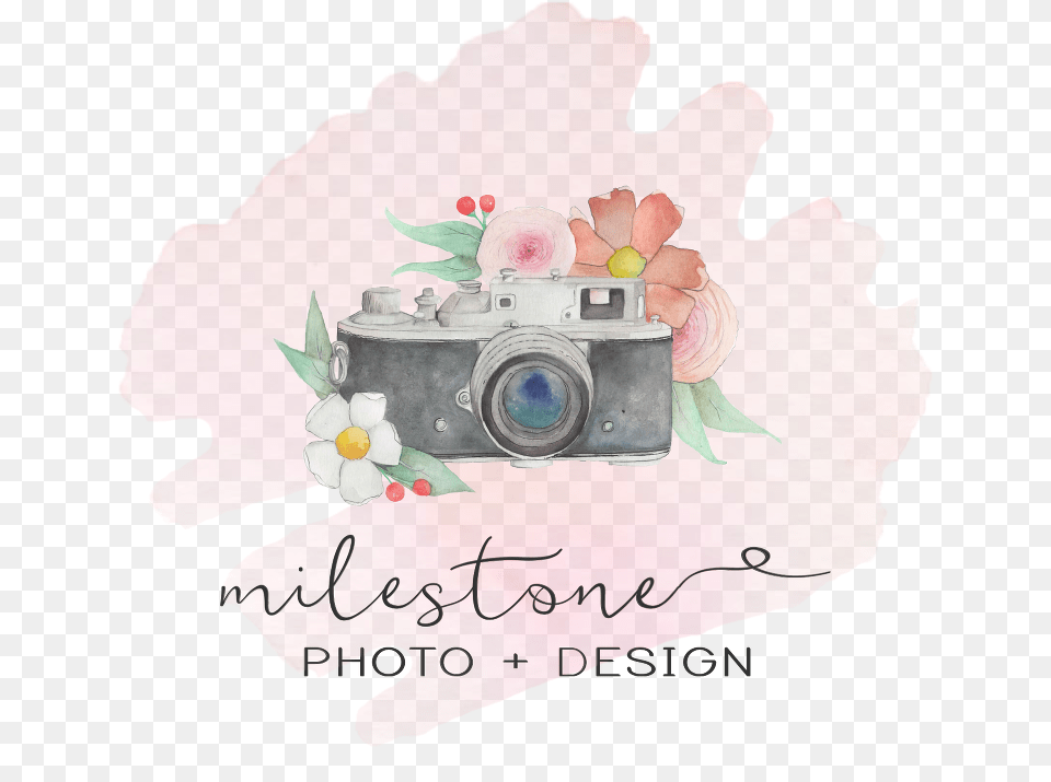 I Garden Roses, Photography, Camera, Electronics, Baby Free Png Download