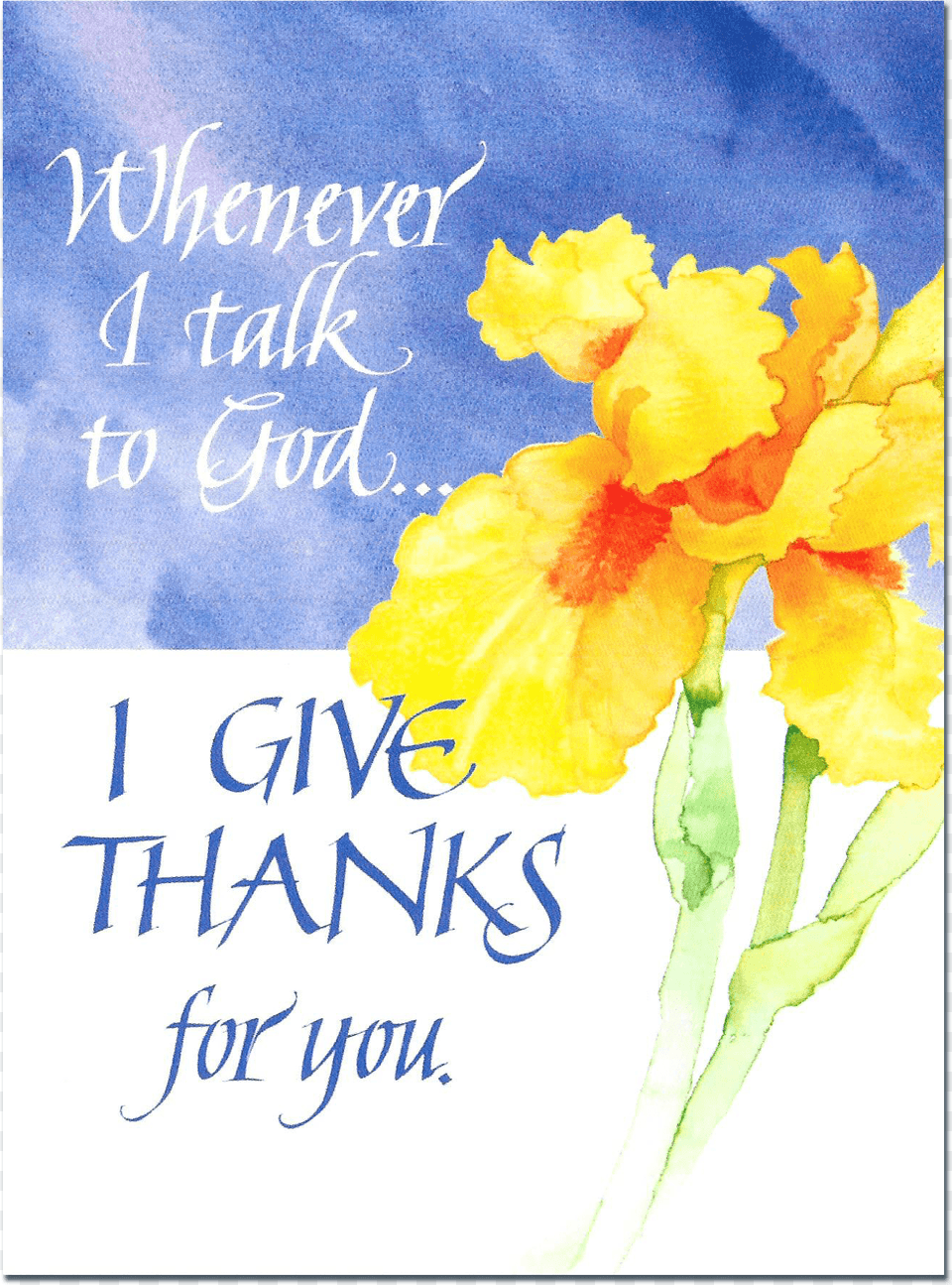 I Give Thanks Iris, Flower, Petal, Plant, Daffodil Free Png Download