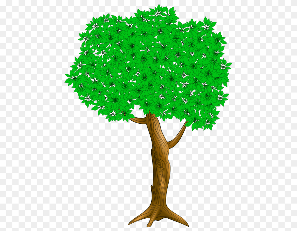 I Had A Little Nut Tree Nursery Rhyme Nutmeg, Plant, Vegetation, Land, Nature Png Image