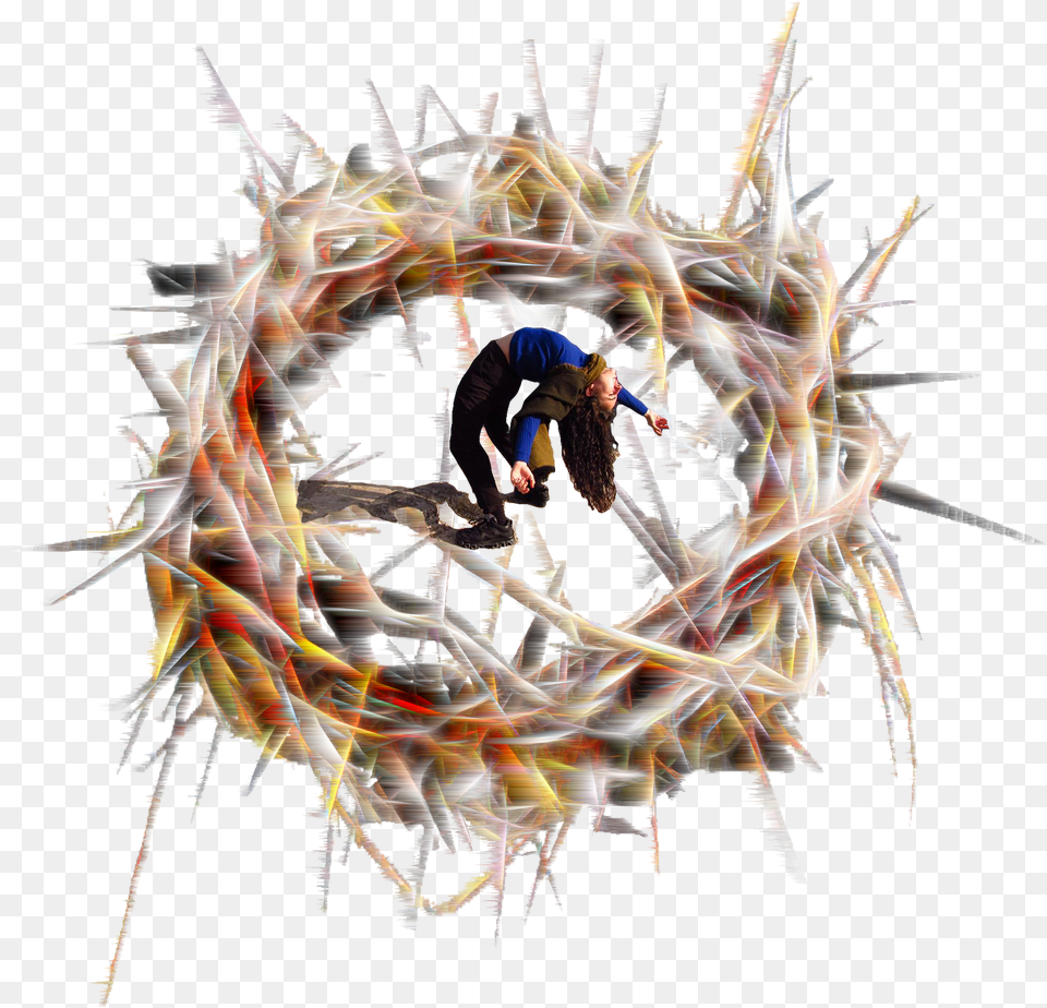 I Happened Upon A Crown Of Thorns Myna Transparent Arctic Tern, Food, Lunch, Meal, Snack Png