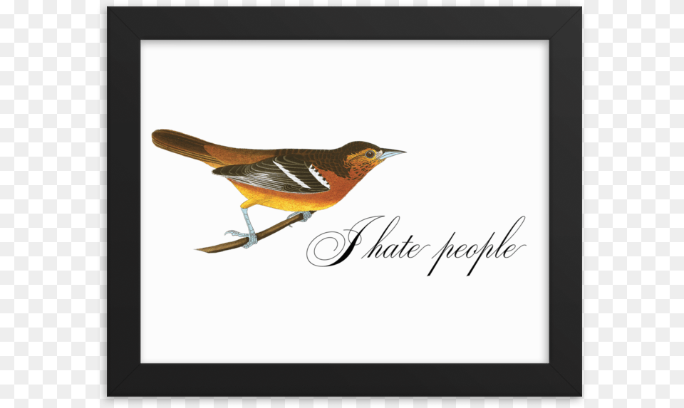 I Hate People Framed Hatred, Animal, Beak, Bird, Finch Png Image