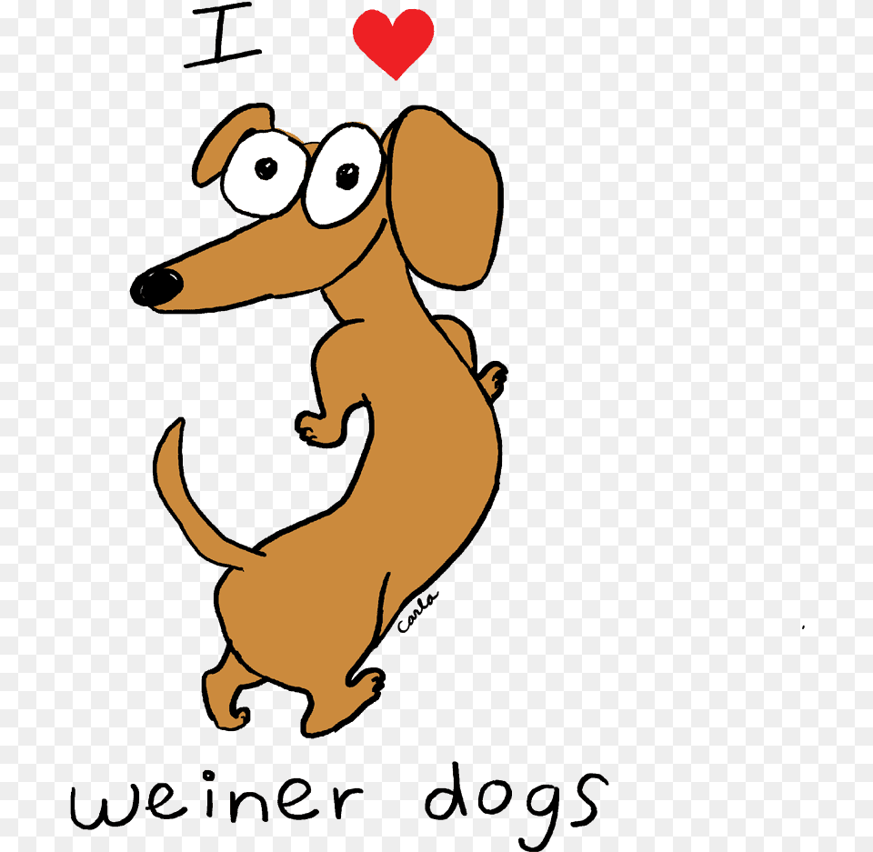 I Heart Dachshund Weiner Dogs Dachshund Clipart Full Weiner Dog Or Dachshund, Animal, Bear, Mammal, Wildlife Free Png