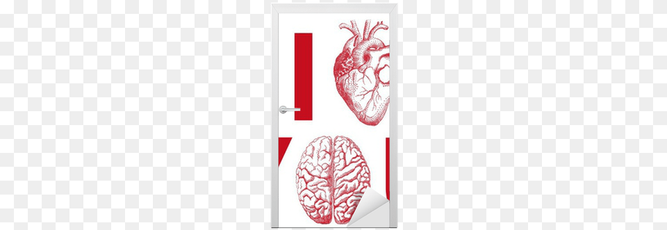 I Heart You With Realistic Heart And Brain Vector C3rv34u Book, Food, Ketchup Png Image