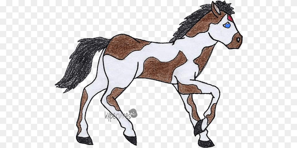 I Horse, Baby, Person, Animal, Mammal Free Transparent Png