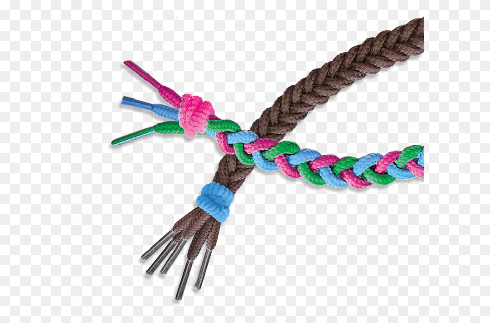 I Learn To Braid Insect Free Transparent Png