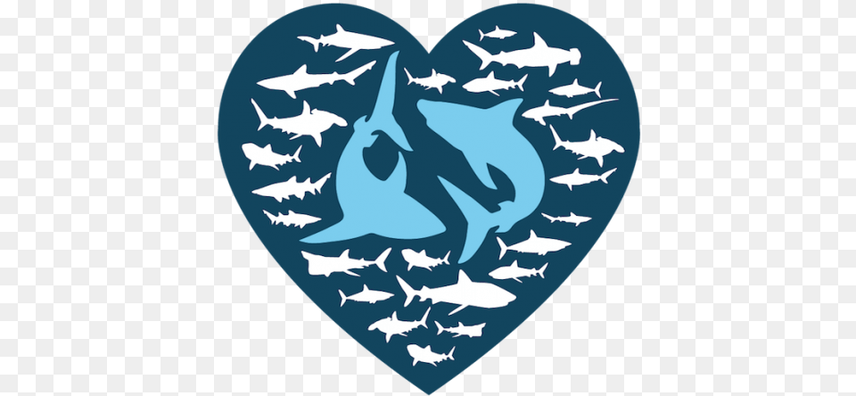 I Love Sharks Selfie Challenge Save Our Nl Shark Love Sharks, Animal, Fish, Sea Life Png