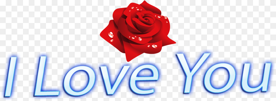 I Love You Rose, Flower, Plant, Light, Neon Png Image