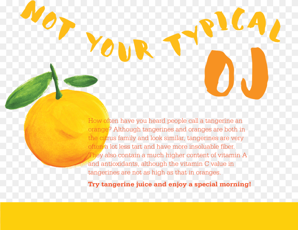 I M Not An Orange Julia Wong Watercolor Painting, Citrus Fruit, Food, Fruit, Plant Free Png Download