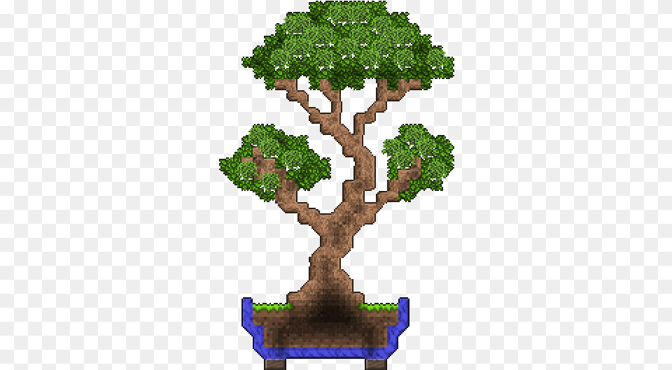 I Made A Bonsai Bonsai Tree Minecraft, Plant, Potted Plant, Person, Vegetation Free Transparent Png