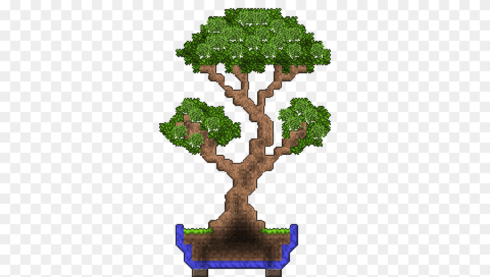 I Made A Bonsai D Terraria, Plant, Potted Plant, Tree, Vegetation Free Png Download