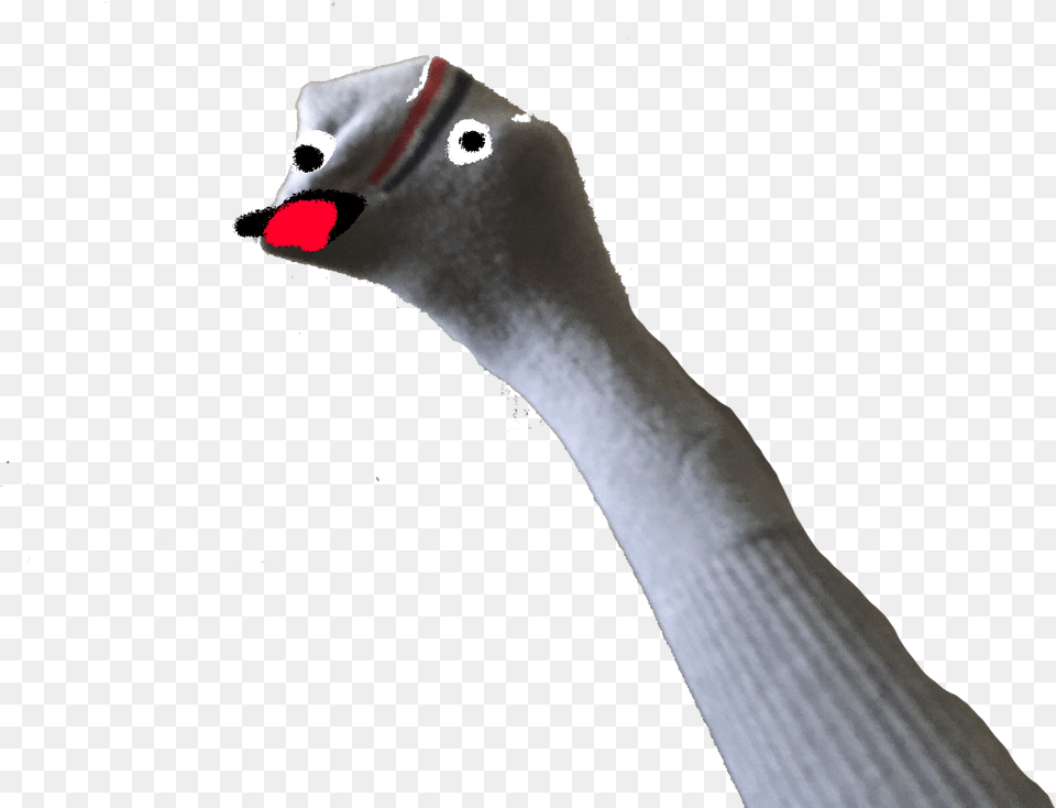 I Made The Sock Puppet In Goose, Animal, Beak, Bird, Waterfowl Free Png