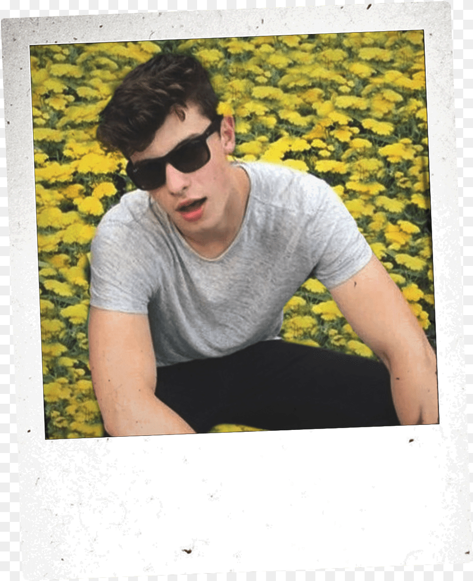 I Made This Polaroid Shawn Edit It Took Forever To Shawn Mendes Tumblr Polaroid, Accessories, Sunglasses, Portrait, Photography Png