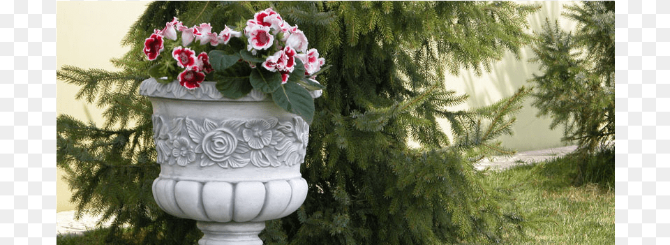I Malie Gorodskie Arhitekturnie Formi, Vase, Tree, Pottery, Potted Plant Png Image