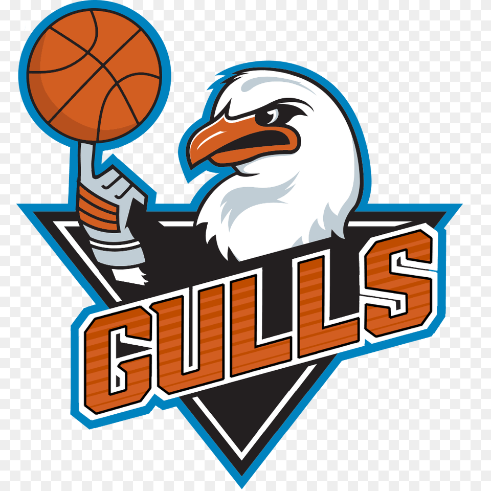 I Stole The Gulls Logo And Reworked It For My Nba Mygm Team, Animal, Beak, Bird, Dynamite Png