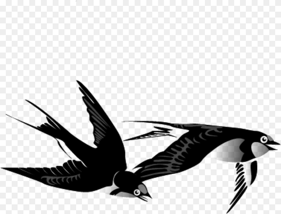 I Swallow Flying Bird Ink Painting, Gray Free Png Download