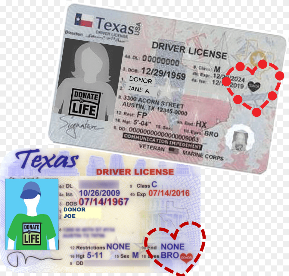 I Want Donu0027t The Heart Texas Donor Registry Texas Organ Donor License, Text, Document, Id Cards, Driving License Png