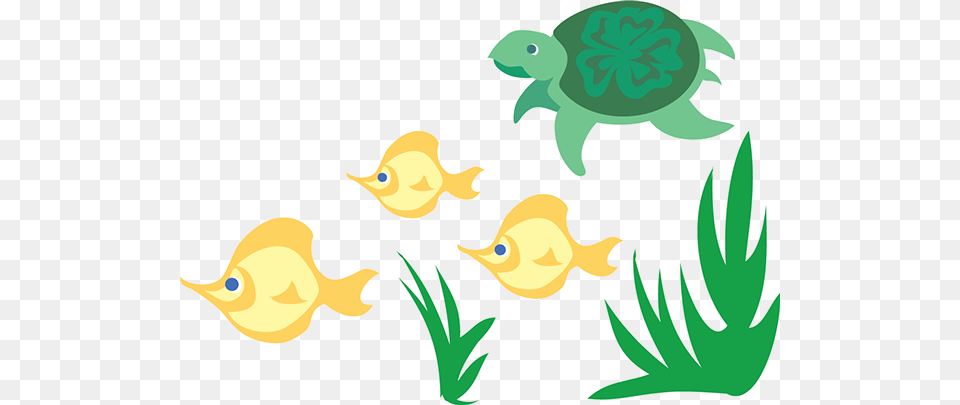 I Was Asked To Design A Quick Little Border For Use Design, Animal, Sea Life, Reptile, Tortoise Png Image