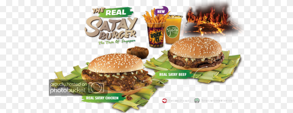I Was Curious When I Was The Burger King39s Advertisement Burger King Satay Burger, Food Png Image