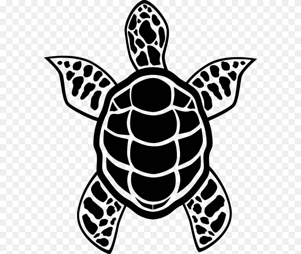 I Will Recreate Your Art Into A Finished Vector Hawksbill Sea Turtle, Animal, Reptile, Sea Life, Sea Turtle Free Png Download