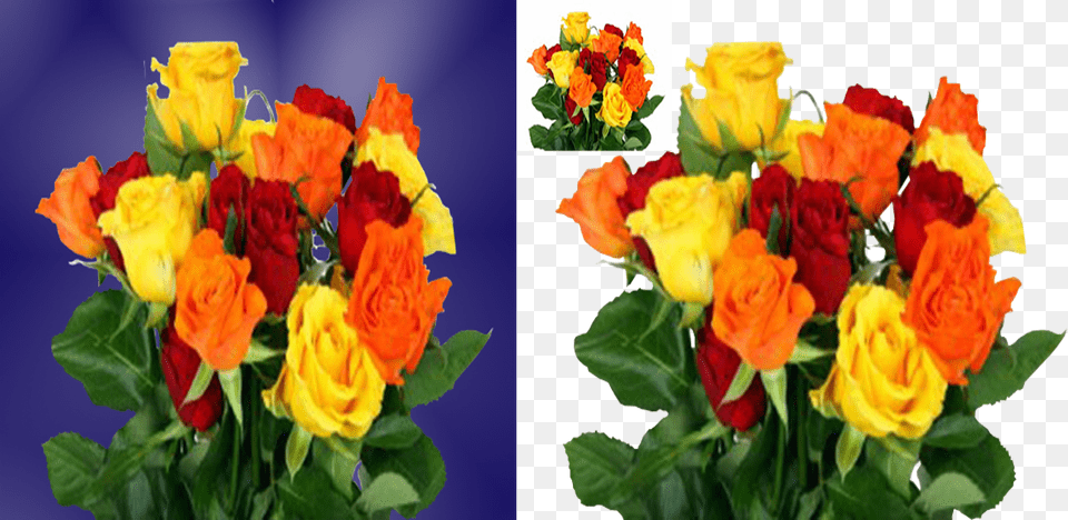 I Will Remove Background Of 10 Products Photos For Wallpaper, Flower, Flower Arrangement, Flower Bouquet, Plant Png Image