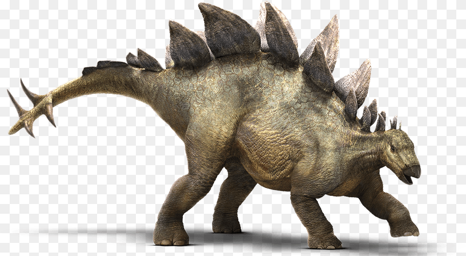 I Would Also Like To Point Out Something About The Stegosaurus Jurassic World Dinosaurs, Animal, Dinosaur, Reptile Png Image