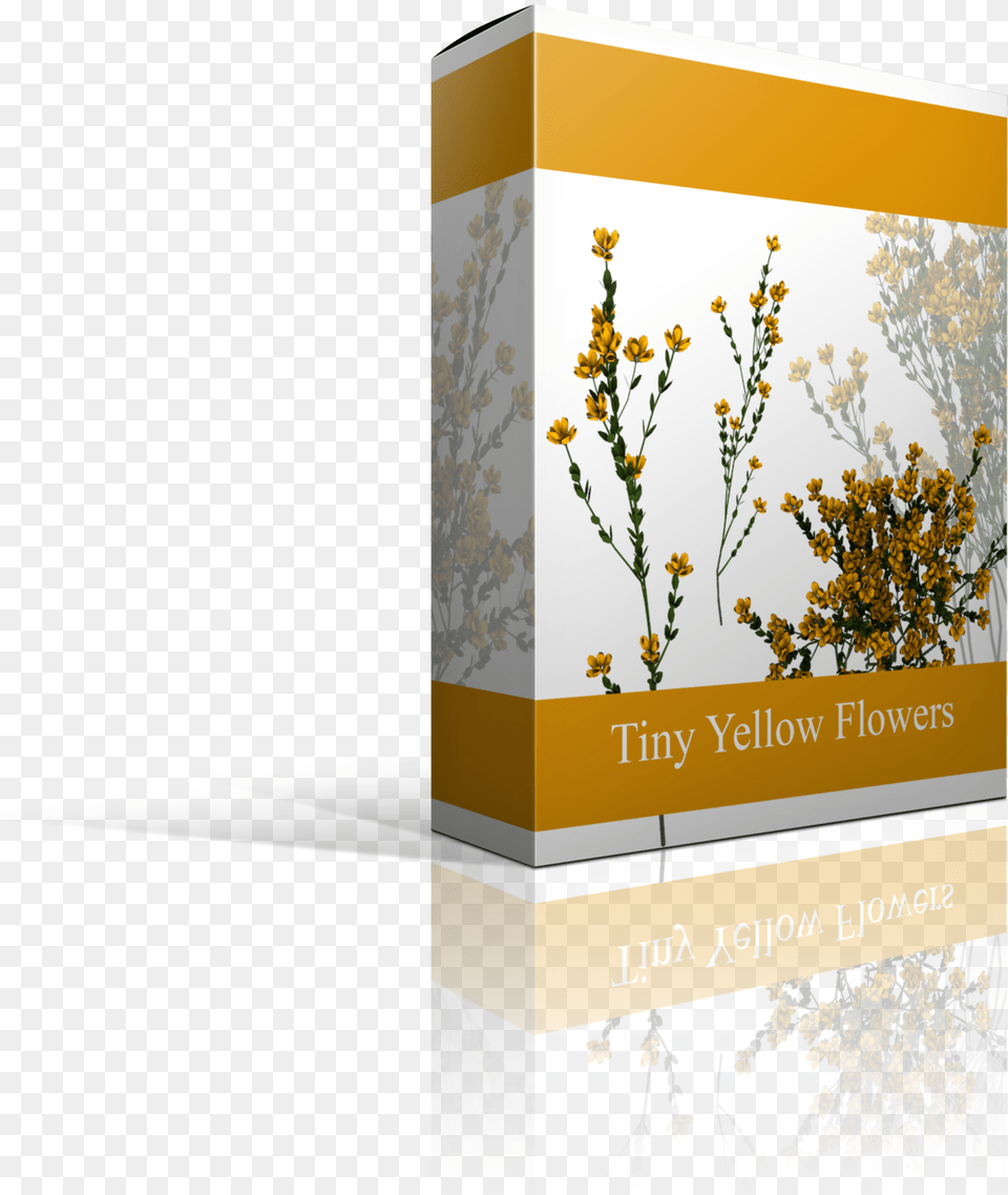 I55 W2560 Camomile, Herbal, Herbs, Plant, Flower Png Image