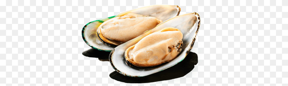 Iakitoriia Clams, Animal, Clam, Food, Invertebrate Png Image