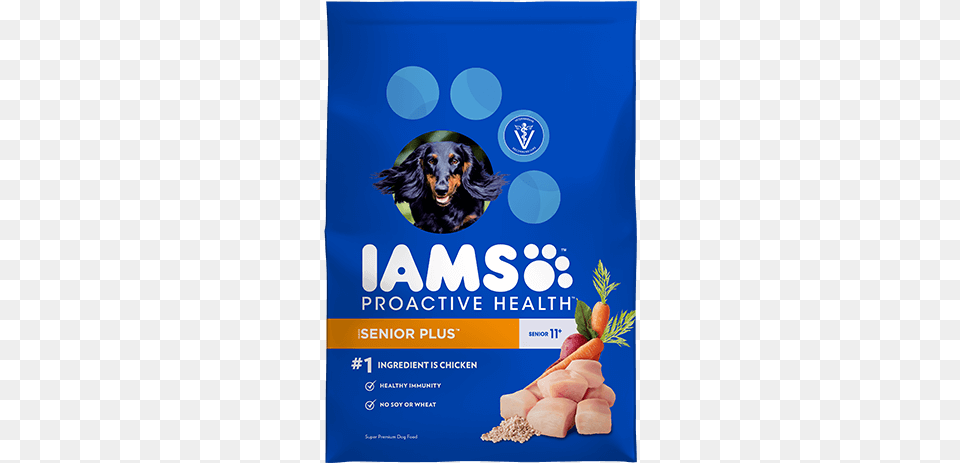 Iams Large Breed Dog Food, Advertisement, Poster, Pet, Mammal Png Image