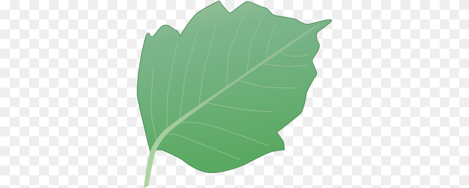 Ian Symbol Rhus Radicans Leaf Illustration Of A Leaf, Plant, Tree, Blouse, Clothing Free Transparent Png