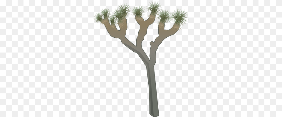 Ian Symbol Yucca Brevifolia Easy Joshua Tree Drawing, Palm Tree, Plant, Potted Plant, Person Free Png